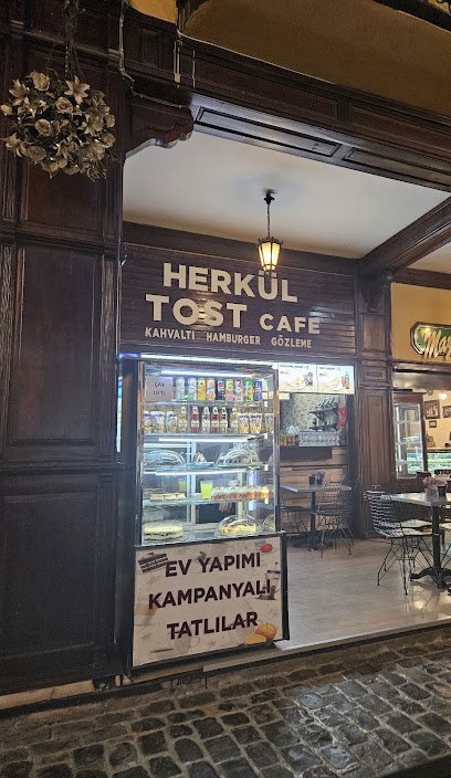 Herkül tost